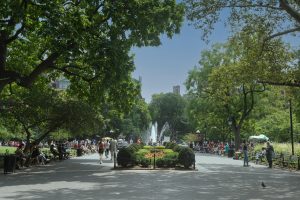 trees, benches and fountain in Washington Square Park, NYC