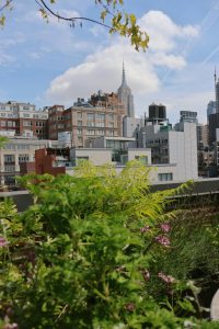 View of Empire State building from highline