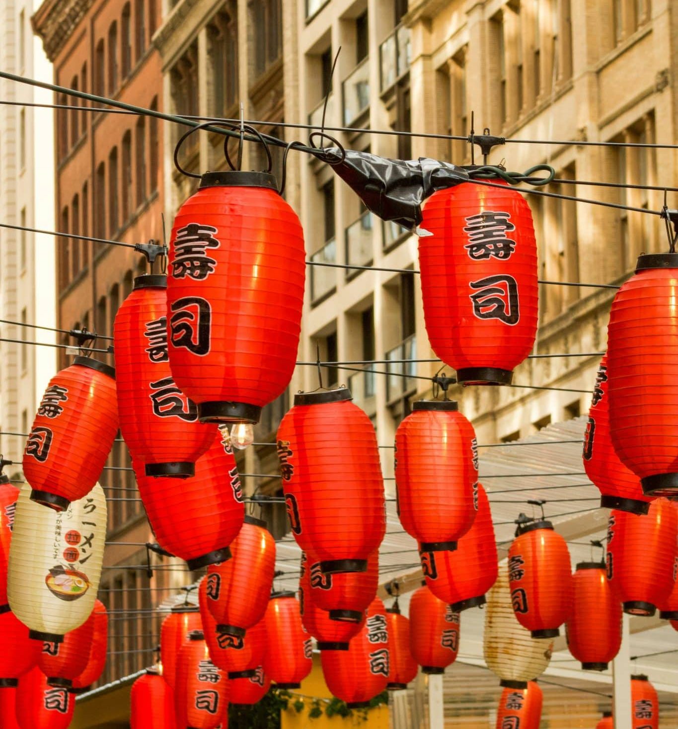 paper lanterns in chinatown, nyc