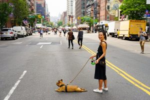 woman walking her dog in the street