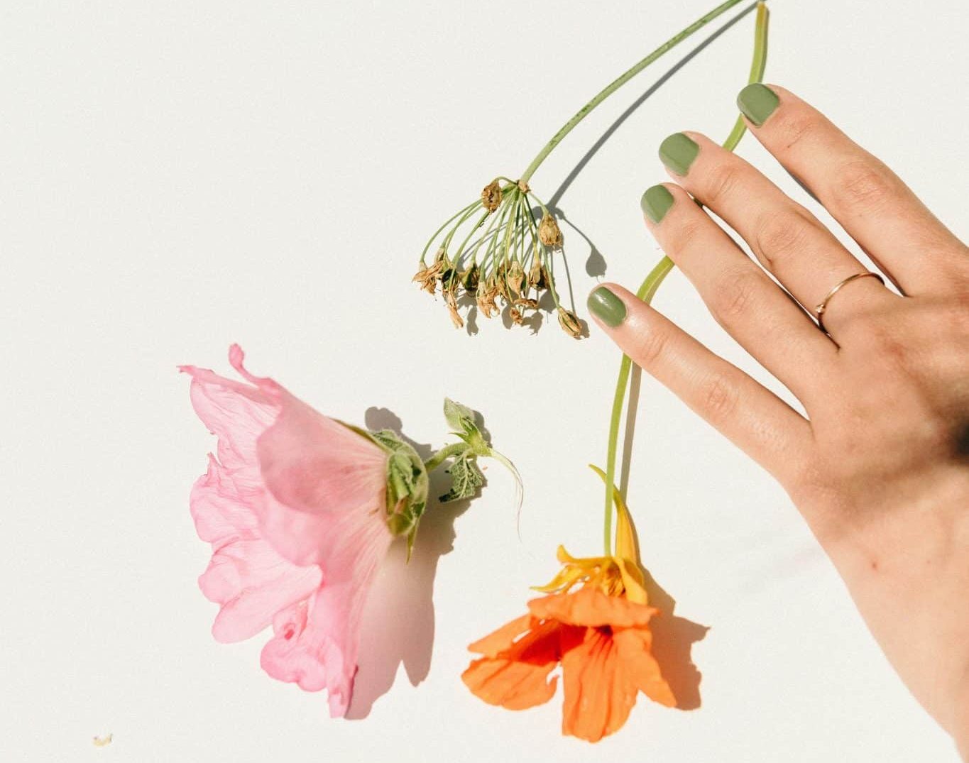 A woman's hand with green nail polish gently touching the stem of an orange flower, surrounded by pink and yellow flowers on a white surface.