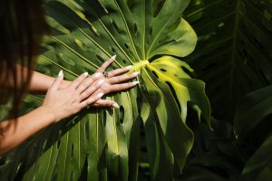 A woman's hands with white nail polish against a large, green tropical leaf.