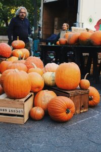 Pumpkin stand at the Union Square GreenMarket in NYC