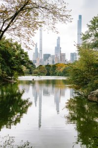 view of pond in central park with city buildings in the background